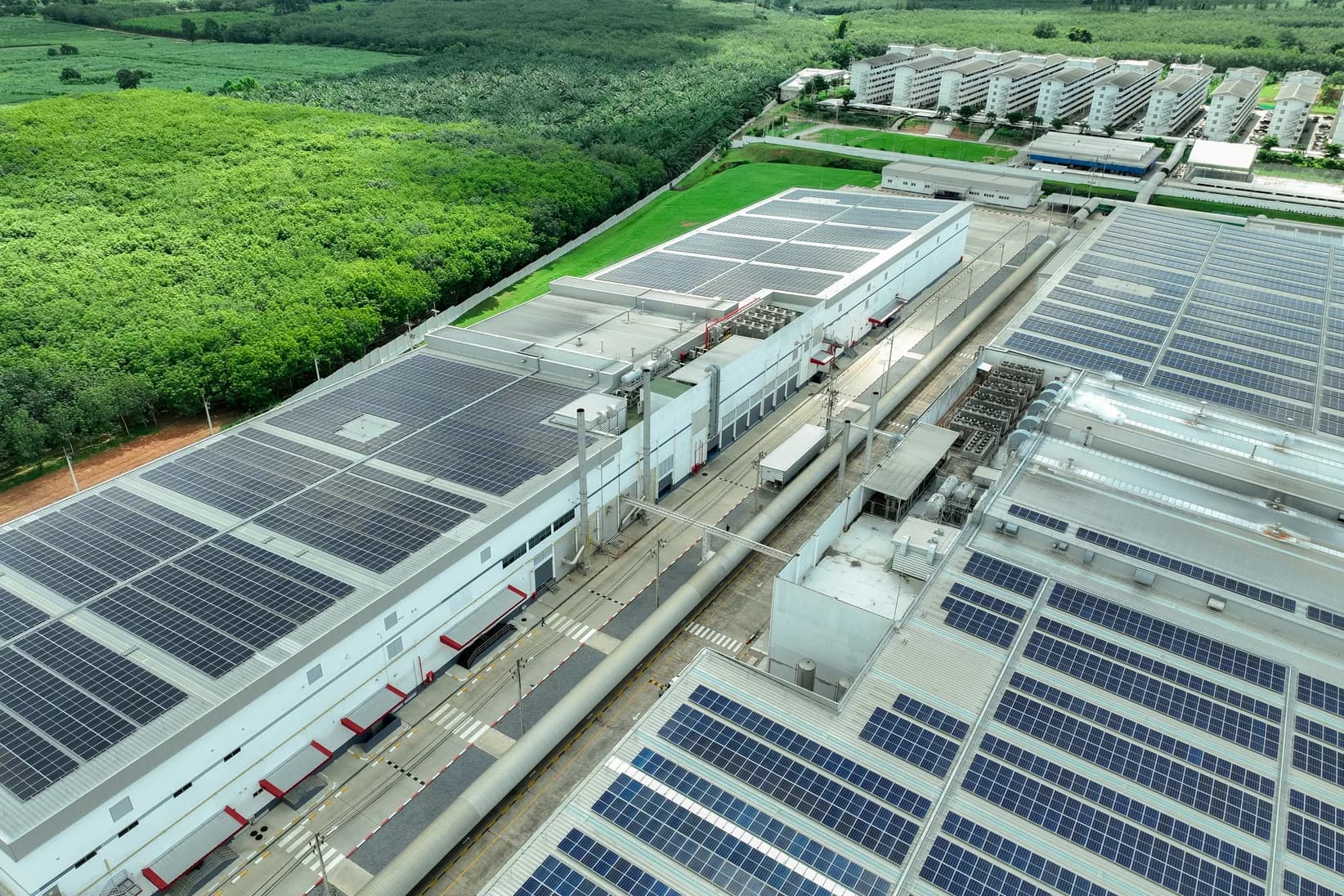 Solar & Renewable Energy
